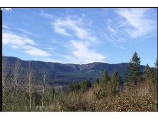 0 Thistledown Ln, Gates, OR 97346