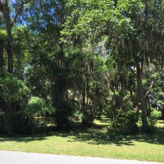 Lot 905 The Oaks, Townsend, GA 31331
