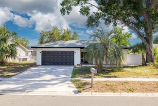 2436 Beacon Groves Blvd, Palm Harbor, FL 34683