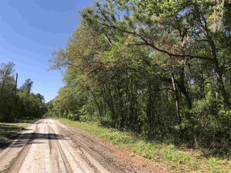 0 NE Madison Bluffs Way Unit 48 292574, Madison County, FL 32059