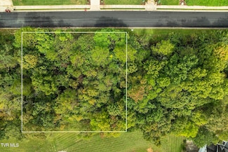 Lot 91 Ridgetop Dr, Johnson City, TN 37615