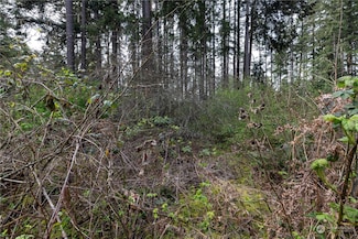 0 (Lot 3) 95th Avenue Ct E, Graham, WA 98338
