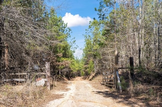 0 Crook Rd, Minter, AL 36761