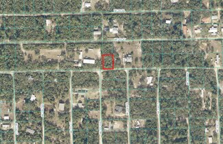 TBD NE 232nd Ln, Fort Mc Coy, FL 32134