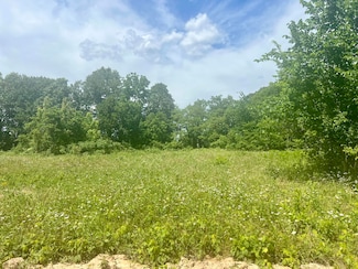 Lot 2 State Highway 112, Cassville, MO 65623