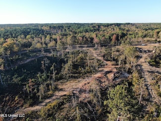 5 Marianna Rd, Holly Springs, MS 38635