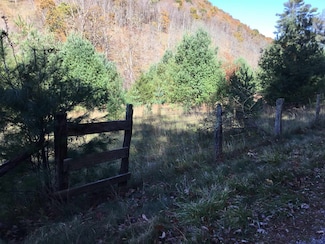 2817 Dry Run Rd, Franklin, WV 26807