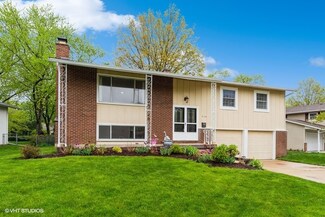 910 Harrison Ln, Hoffman Estates, IL 60192