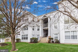 14203 Wolf Creek Place, Silver Spring, MD 20906