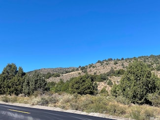 27600 Lousetown Rd, Reno, NV 89521