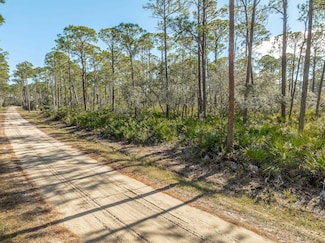 86 Lake View Dr, Bald Point, FL 32346