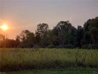 V/L Crow Rd, Litchfield, OH 44253