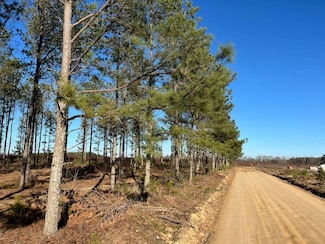 --2A Irving Rd, Batesburg-Leesville, SC 29006