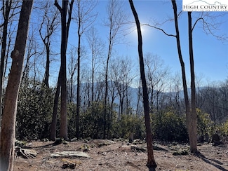 17 Jackson Ridge Rd, Boone, NC 28607