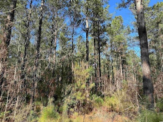 34 Acres - TBD Easler Hwy, Greeleyville, SC 29056