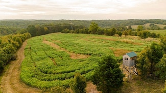 0000 Low Gap Rd, Pineville South Township, MO 64854