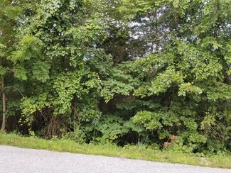 303 5th Ave, Ridgedale, MO 65739