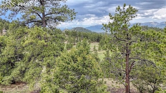 44 Honeysuckle Terrace, Westcliffe, CO 81252