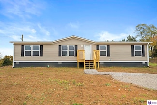 7222 Brandenburg Rd, Ekron, KY 40117