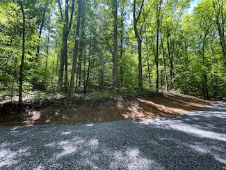 0 Cosby Hwy Unit 605781, Cosby, TN 37722