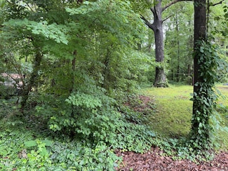 00 Thomas St, Henderson, NC 27536