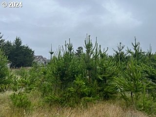 806 318 Place, Ocean Park, WA 98640