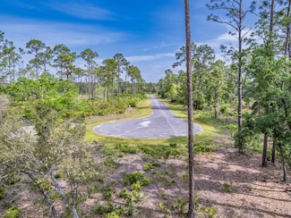 XX Striffler St, Ochlockonee Bay, FL 32346