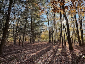 0 County Route 23 Unit LotWP001, Constantia, NY 13044