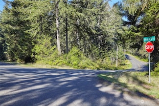 10423 Lake Josephine Blvd, Anderson Island, WA 98303