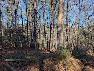 Lot J251 Pine Ridge Ct, Ellijay, AL 36170