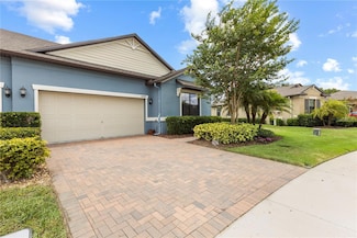 16898 Balance Cove, Land O' Lakes, FL 34638
