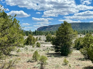 Lot 5 Sagebrush Rd, Ramah, NM 87321
