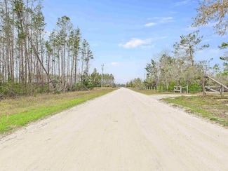 00 Ocean Pond Dr, Perry, FL 32348