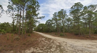 401 Wind Rose Ave, Lake Placid, FL 33852