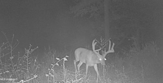 0 Highway 35 Unit 4126590, Vaiden, MS 39176