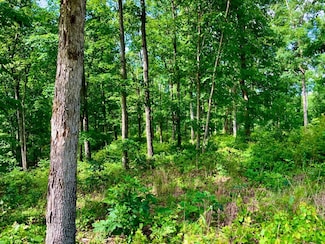 0 Bear Creek Rd Unit 23669628, Waverly, TN 37185