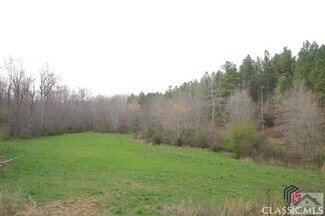 33.48 AC E Jones Chapel Rd, Danielsville, GA 30633