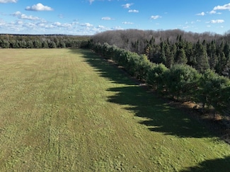 Eben-Trenary Road Lot Unit WP001, Trenary, MI 49891