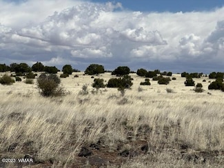 Lot 1 Windsor Valley Ranch, Concho, AZ 85924