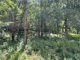 XXXX County Road B, Siren, WI 54872