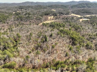 48.4ac Lofty Heights Rd, Mineral Bluff, GA 30559