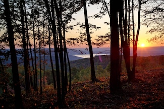 0 Mullins Point Unit 1514286, Guild, TN 37340