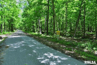 000 Battleford Rd, Stonefort, IL 62987