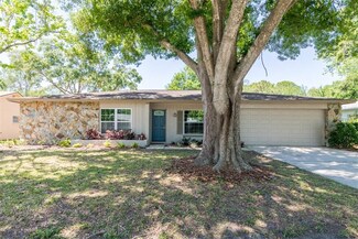 16608 Norwood Dr, Tampa, FL 33624