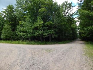 5.25 AC Canadian View Ln, Crandon, WI 54520