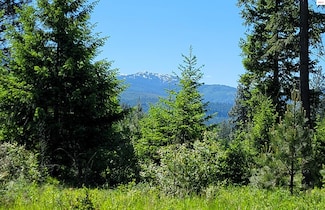 NNA Falcon Ridge Drive-#1, Naples, ID 83847