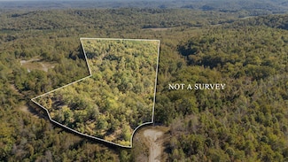 0 Cotton Court Rd Unit RTC3031650, Clifton, TN 38425