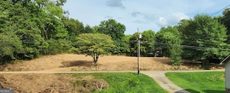 125 Wilson St, Blue Ridge, GA 30513