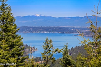 9338 S Caribou Ridge Rd, Harrison, ID 83833