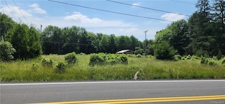 3016 State Route 55, Bethel, NY 12720